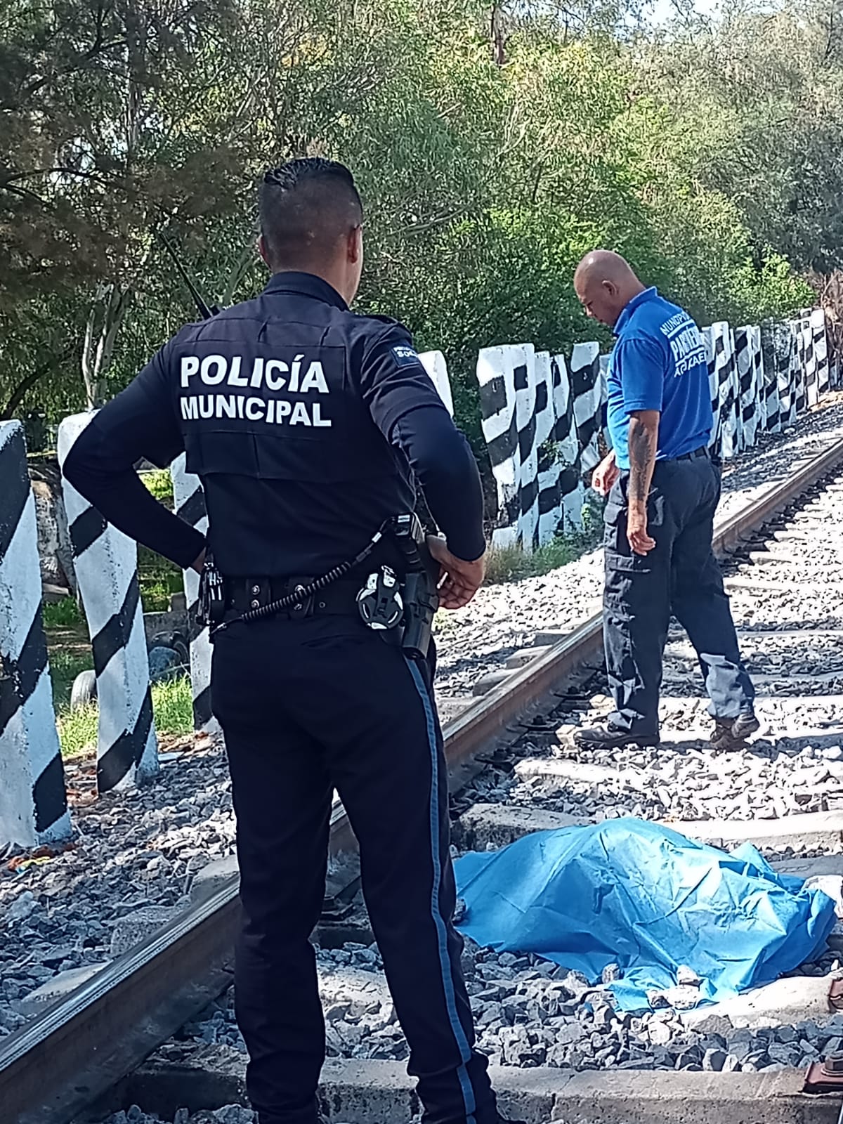 El Tren Atropell A Una Persona Que Se Encuentra En Calidad De